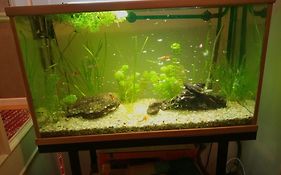Duplex Lujo Leioa